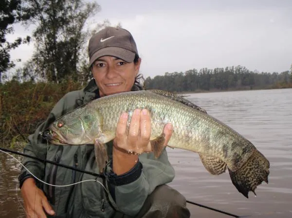 User submitted picture: Hoplias Malabaricus, It s...