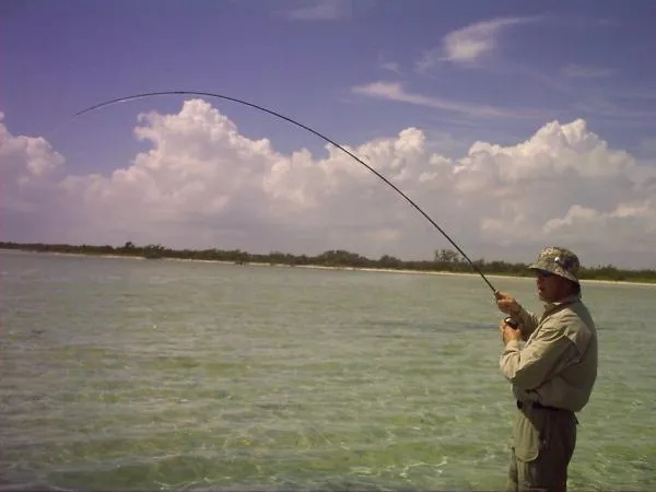 User submitted picture: 9ft weight/f 7 flyrod..fi...