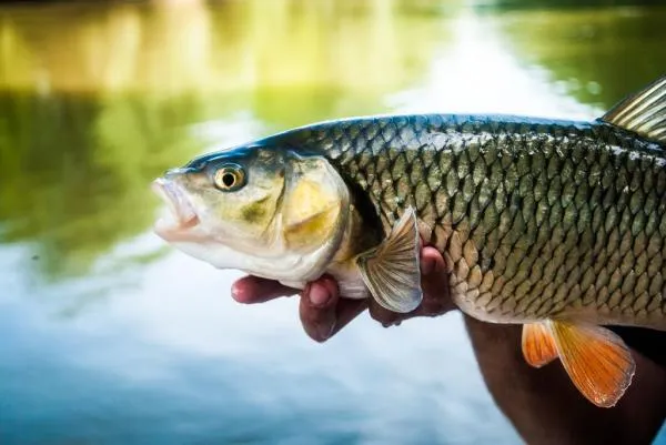 User submitted picture: Eye to eye