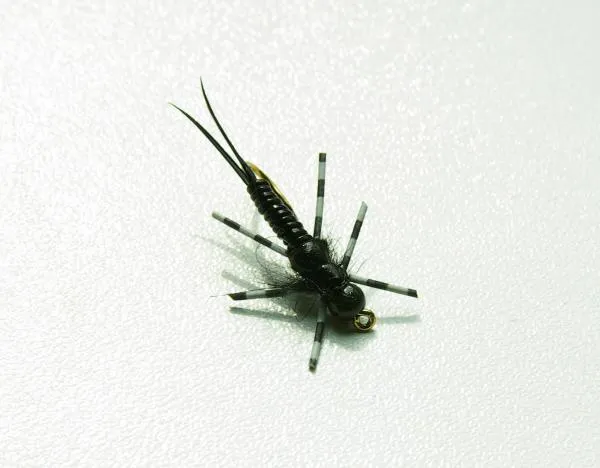 User submitted picture: Stonefly nymph