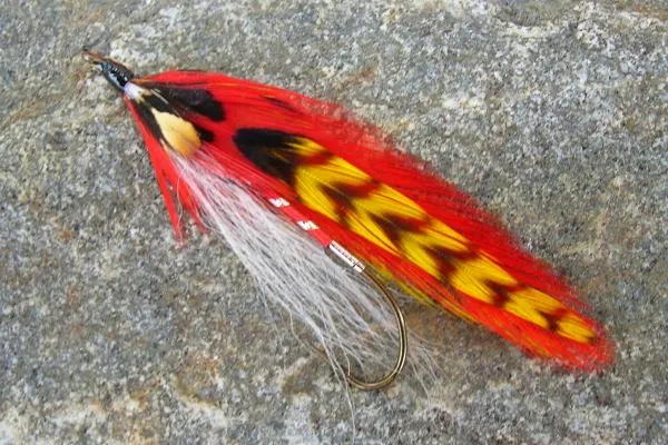 User submitted picture: "Saturday Night Fever"