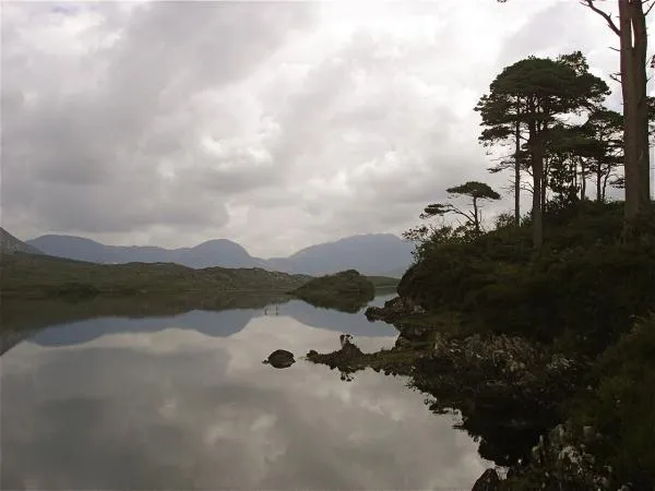 User submitted picture: Quiet place and landscape...