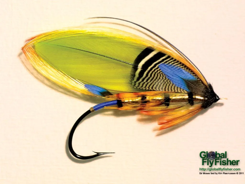 Computer screen wallpaper: Major Traherne's fly Sir Moses